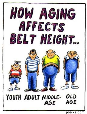 ageing BeltHeight